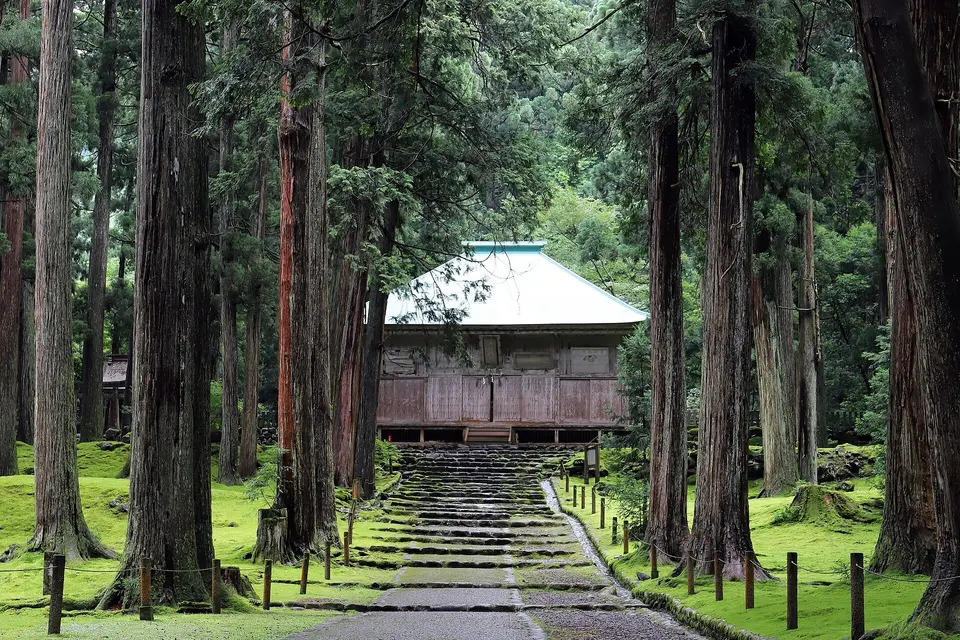 平泉寺白山神社の風景